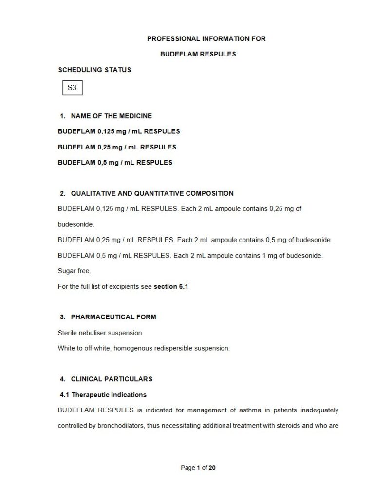 Budeflam 0,125mg 0,25mg & 0,5 mg Respules package insert preview